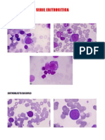 Atlas de Hematologia