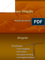 Genus Shigella