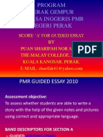 PMR Guided Essay 2010