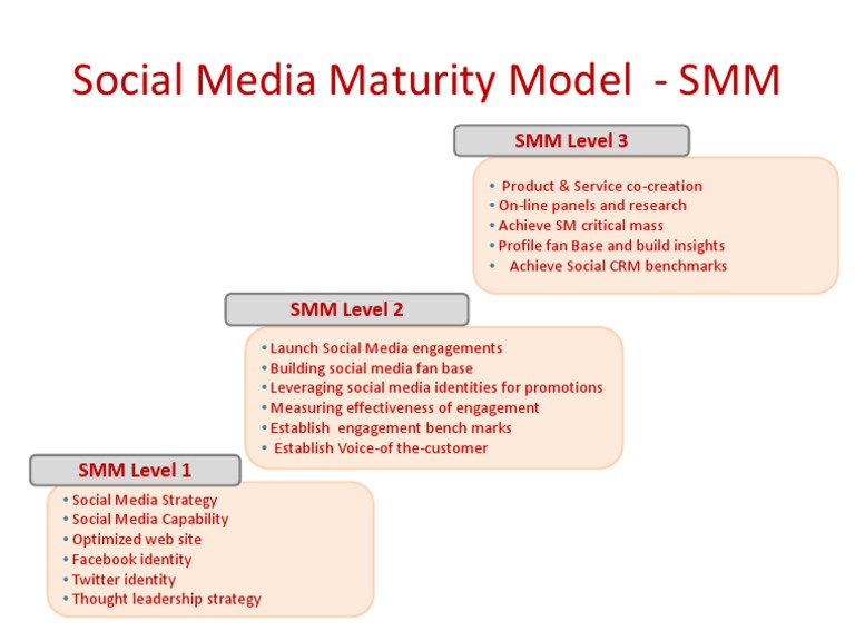 Social Media Maturity Levels Explained | PDF