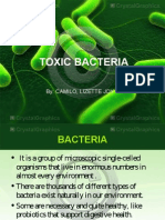 Toxic Bacteria: By: Camilo, Lizette Joy C