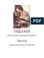 viruela20aviar-130801132801-phpapp02