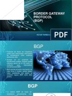 Border Gateway Protocol (BGP)