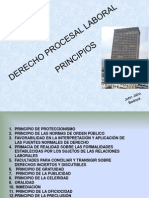 Principios Del Derecho Procesal