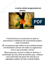 Senescência e morte celular programada em plantas