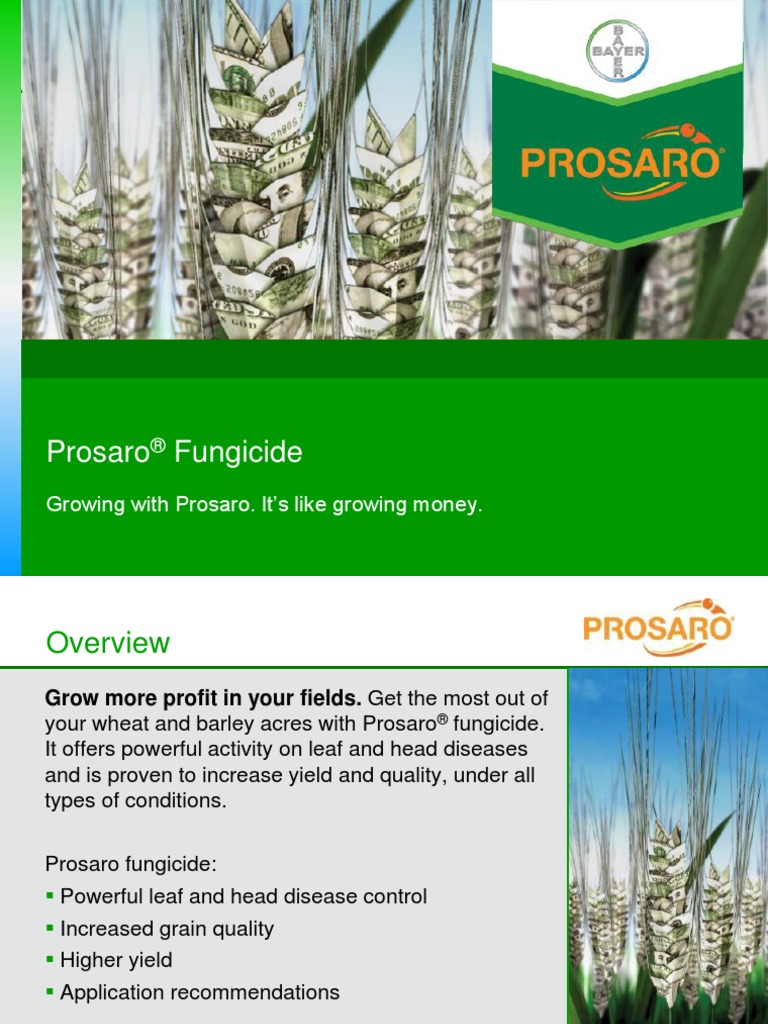 2014 Prosaro Fungicide For Cereals - Product Overview | PDF | Wheat ...