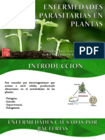 Enfermedades Parasitarias en Plantas