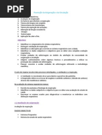 Promoção da Oxigenação e da Circulação