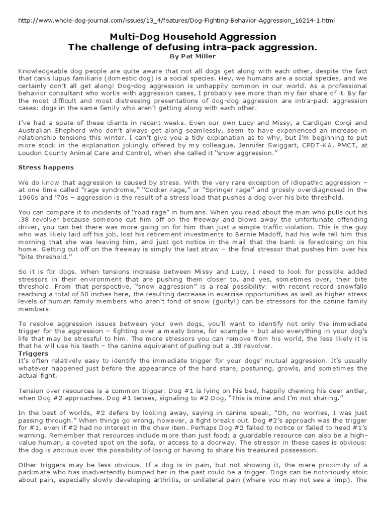 multi dog household aggression