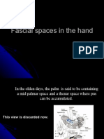 Fascial Spaces in The Hand