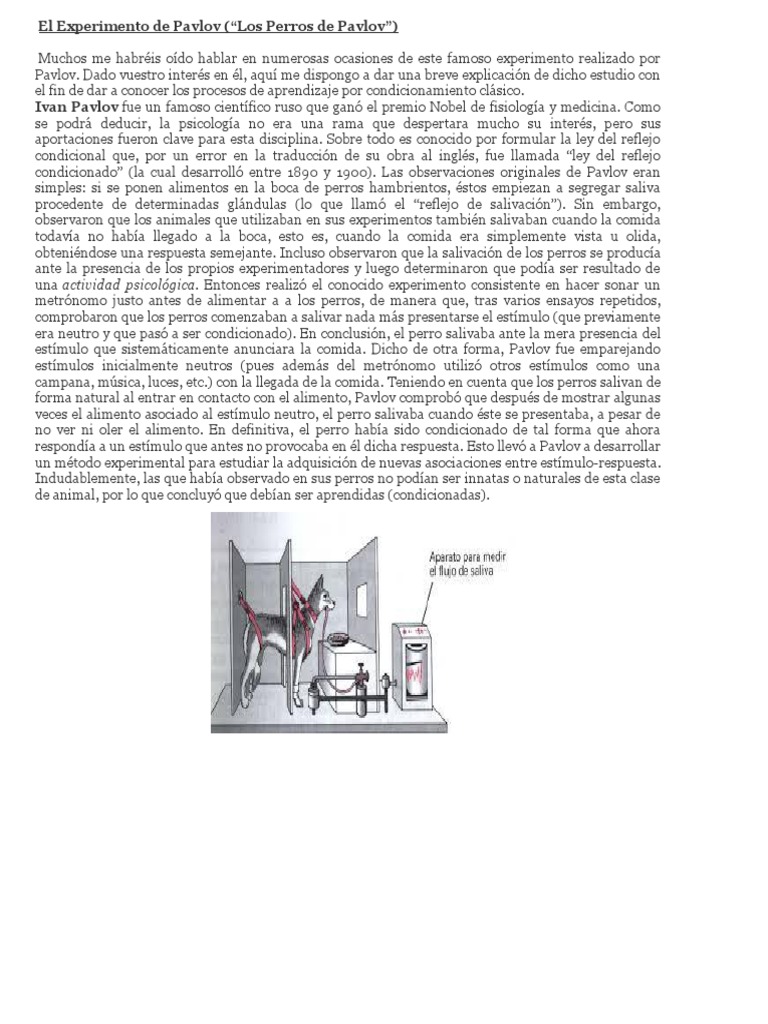 El Experimento de Pavlov y el Condicionamiento | PDF | Ciencia ...