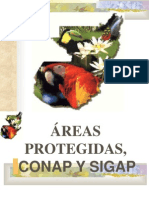 28026601 Areas Protegidas Conap y Sigap