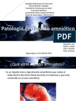 patologiadeliquidoamniotico-131002054058-phpapp02