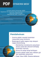 Download Anemia Defisiensi Besi by Ernest Teguh Benedictus Sianturi SN208501791 doc pdf