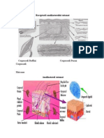 Desen Modificari Derm in Psoriazis