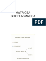 Curs2 - 2005 - Matricea Citoplasmatica