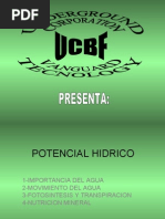 Presentacion importancia del agua, fotosisntesis, transpiracion vegetal y nutricion mineral