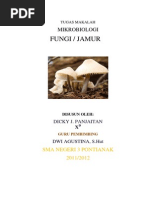 Download Tugas Makalah Fungi by cuyunq SN208514506 doc pdf