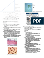 Exercise 4 - Placoid Reviewer