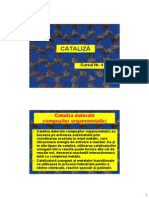 Cataliza - Curs 4