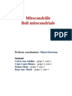 Mitocondriile