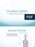 Circulatory System: Cardiologist: Dr. Jennifer, Dr. William, Dr. Daniel, Dr. Jennifer M., Dr. Joshua, Dr. Lourdes