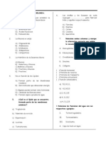 Examen Mensual de Quinto