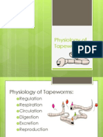 Physiology of Tapeworms