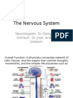 The Nervous System