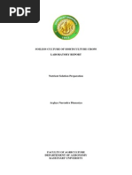 Download Nutrient Solution Preparation by Arghya Narendra Dianastya SN208543830 doc pdf