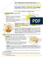 Tema 7 .pdf