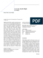 Cytomolecular Aspects of Rice Sheath Blight Caused by Rhizoctonia Solani