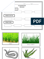 Forest/Hutan: Paddy Field/Tanah Padi