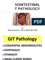 GIT Pathology - SurgPath 2013