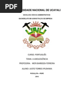 Trabajo Terminado Portugues