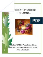 Abilitati Practice - Toamna