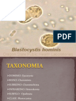 Blastocystis Hominis