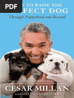 Download How to Raise the Perfect Dog by Cesar Millan - Excerpt by Crown Publishing Group SN20861593 doc pdf