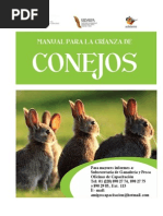Conejos