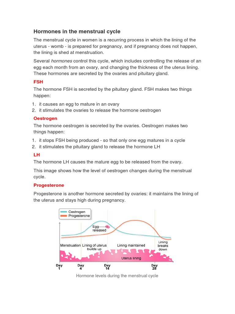 Hormones of the Menstrual Cycle Explained | PDF