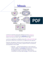 Mitosis