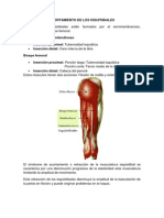 Acortamiento Isquitibiales