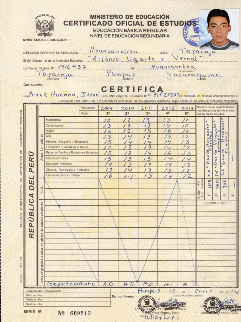 Modelo De Certificado De Estudios 2024 vrogue.co