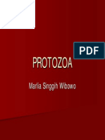 Protozoa (English)