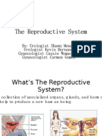 Reproductive System Period 6