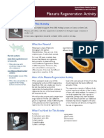 Planaria Regen Activity PDF