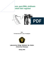 Kromosom Gen Dna Sintesis Protein