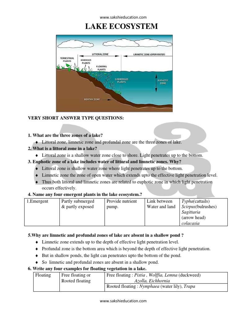Lake Ecosystem Zonation Explained | PDF | Ecology | Hydrography