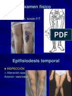 006-Rodilla Ex Físico y DX