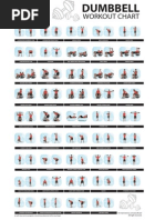 Dumbbell Workout Chart